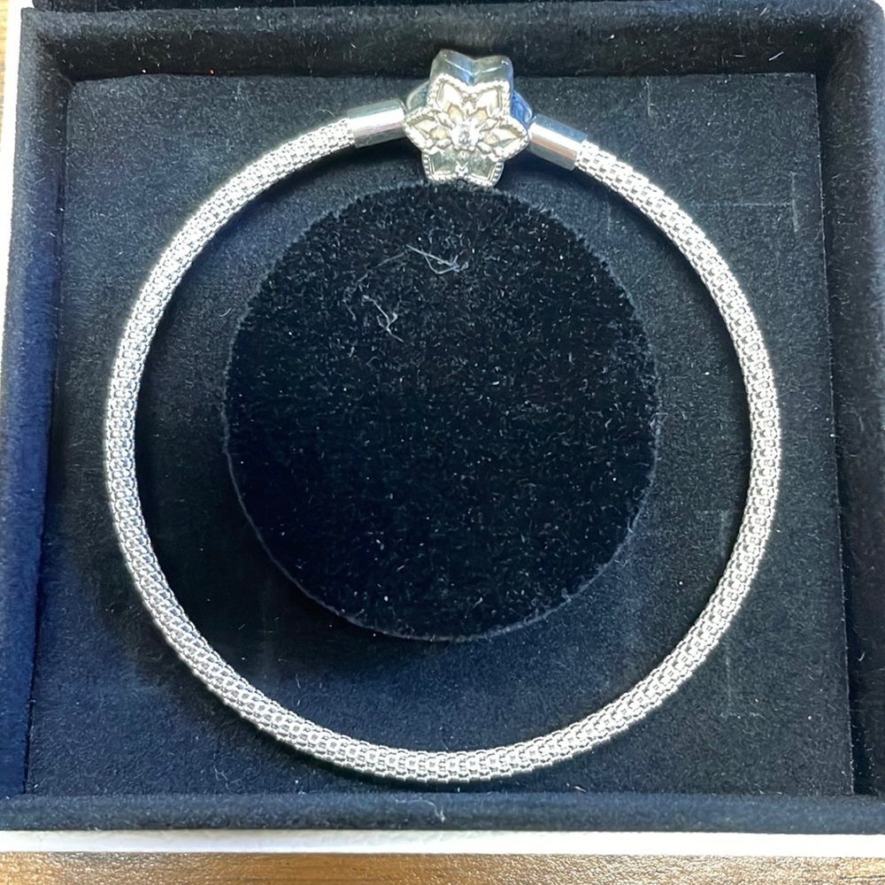 Pandora bangle